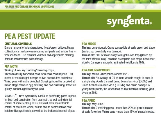 Syngenta_pea_pest_and_disease_technical_update_2022