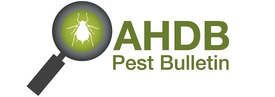 AHDB_Pest_Bulletin_Reports