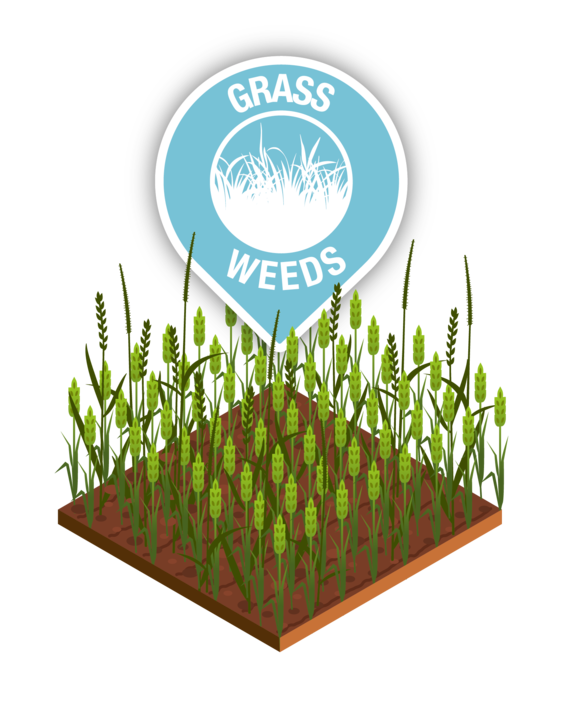 Grass Weeds Farm Icon