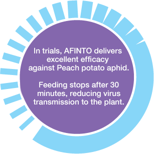 AFINTO delivers