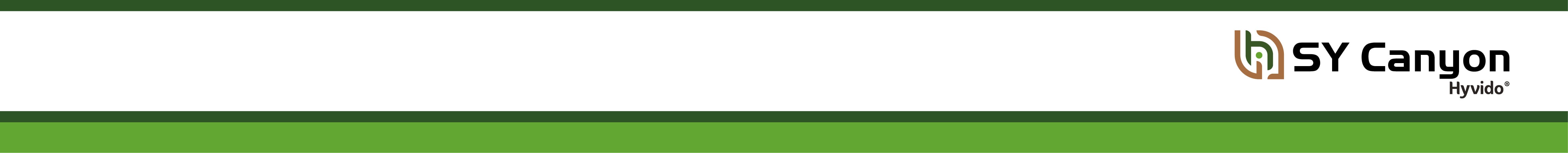 SY_CANYON_BANNER