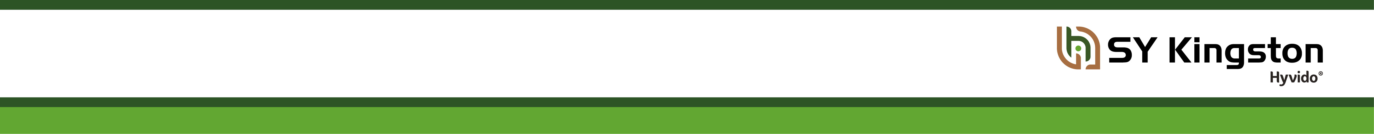 SY_KINGSTON_BANNER