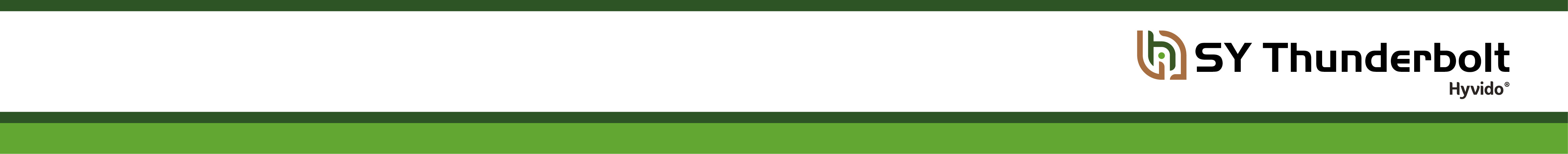 SY_THUNDERBOLT_BANNER