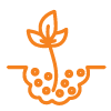 Grow Icon