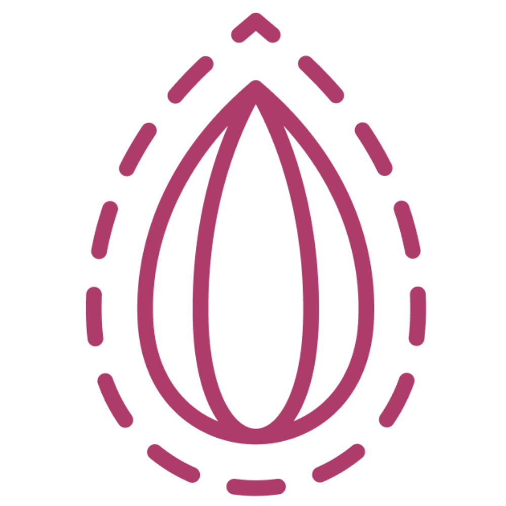 Seed icon