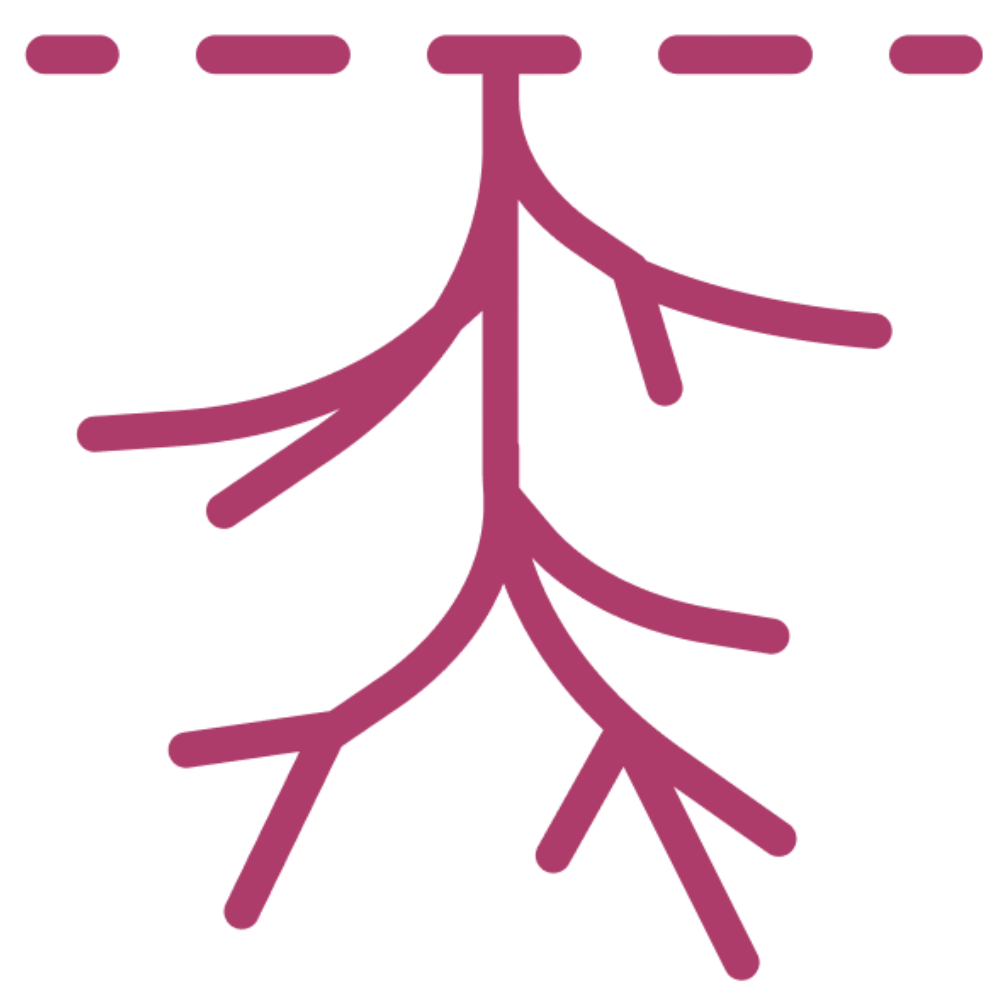 Root icon