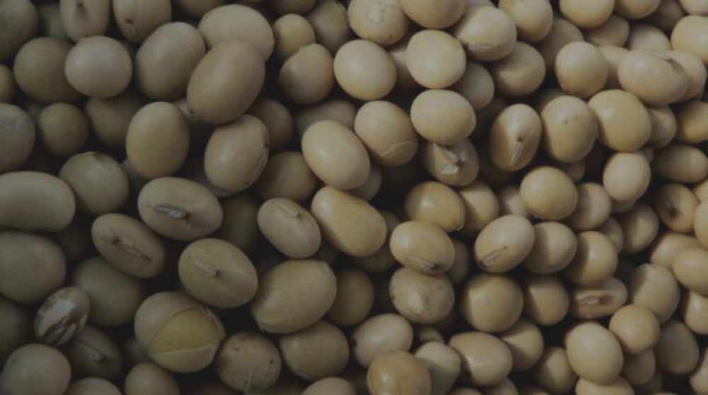 Pulses