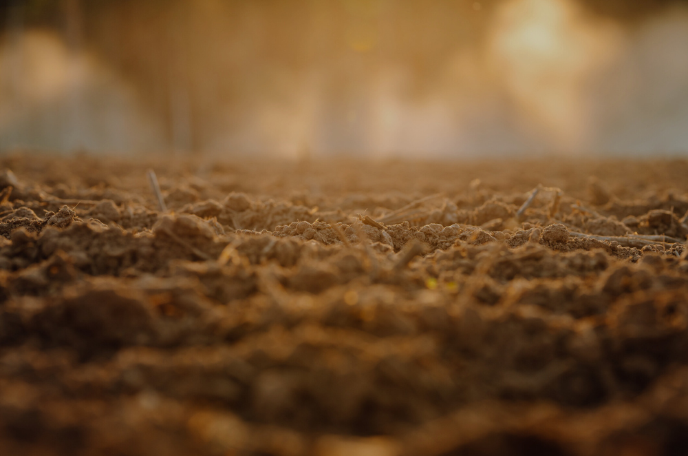 Light Soils