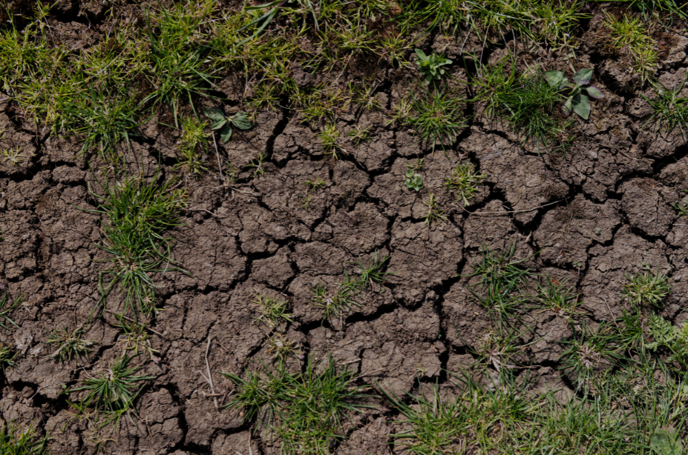 Dry Weather / Soil Conditions