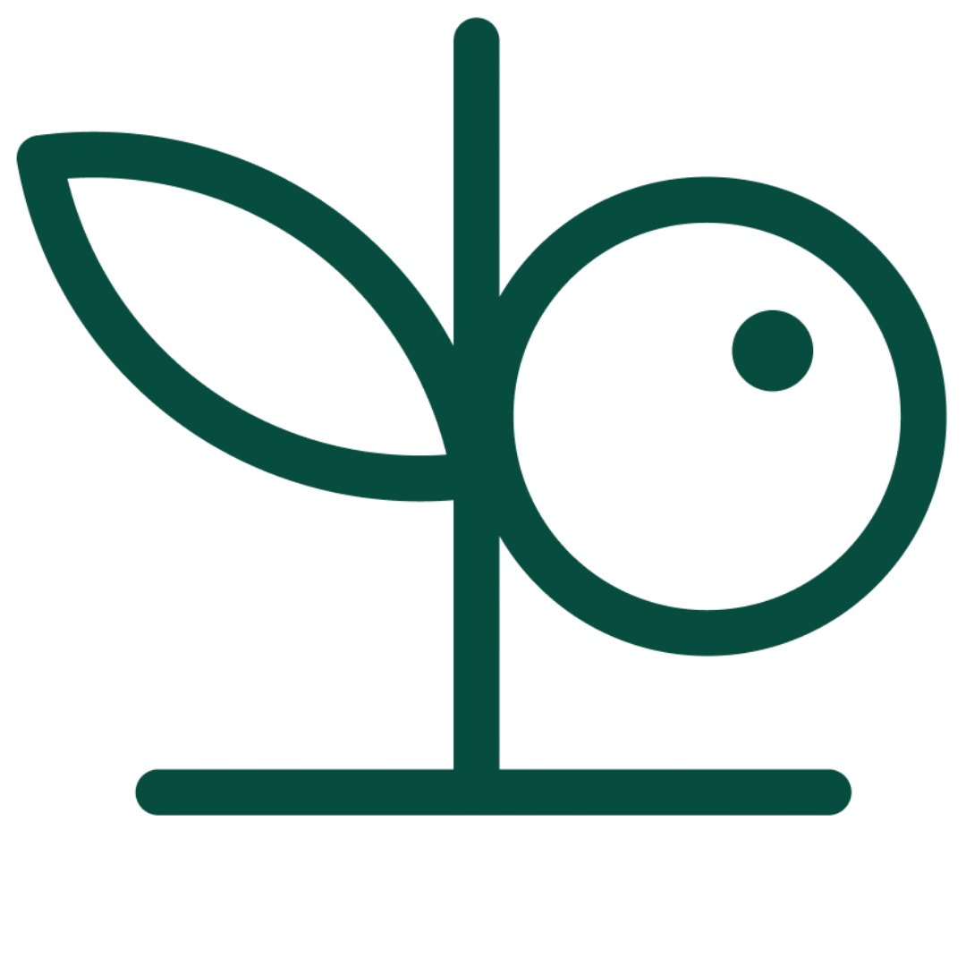 Soft Fruit icon