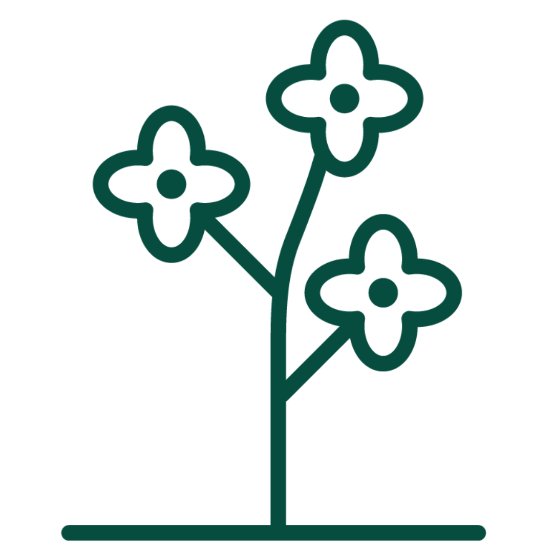 Oil Seed Rape icon