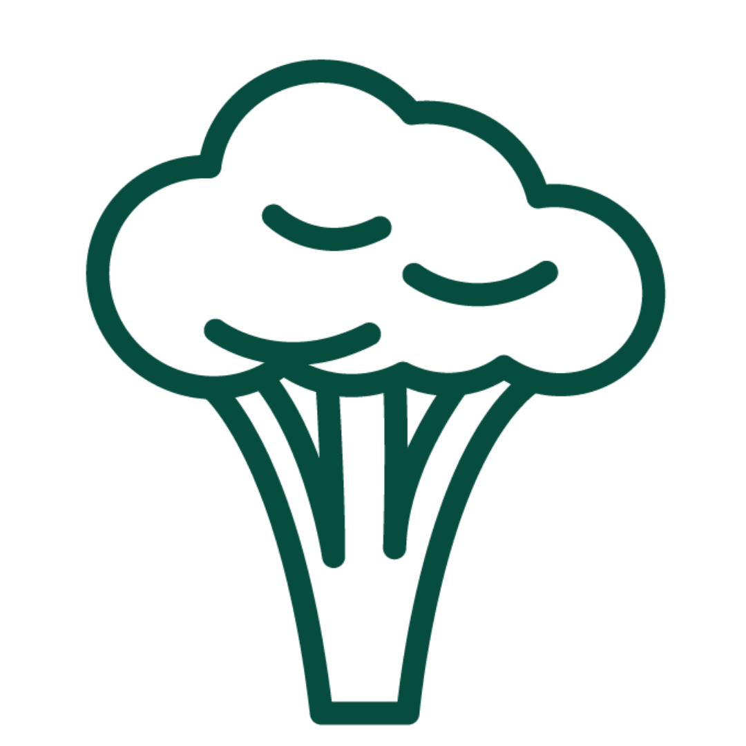Vegetables icon