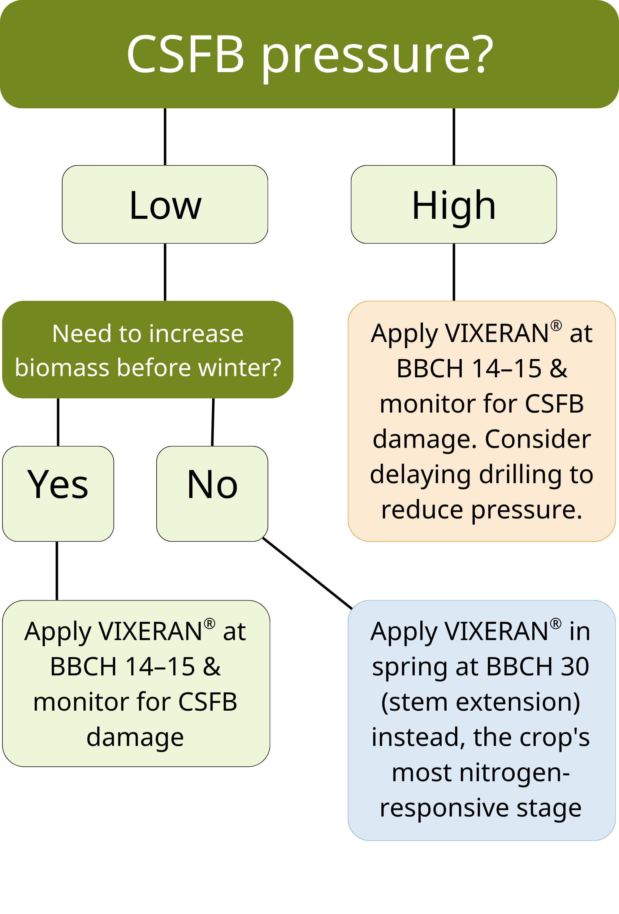 Traditional timing decision flow