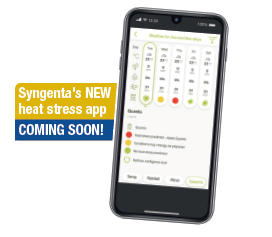 Syngenta Heat Stress App: Coming Soon