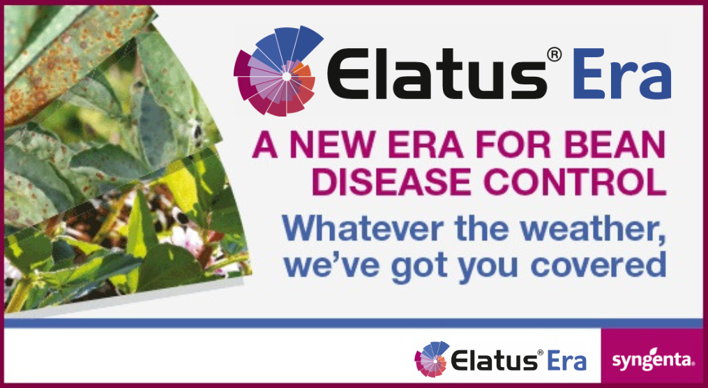 ELATUS ERA