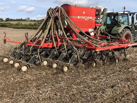 Dale direct drill in stubble