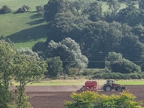 tractor_drilling_cereal