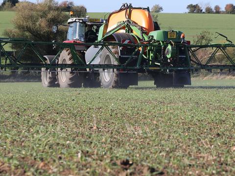 Early spring grass weed target application