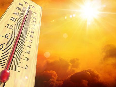 Heating climate effects on potato crops