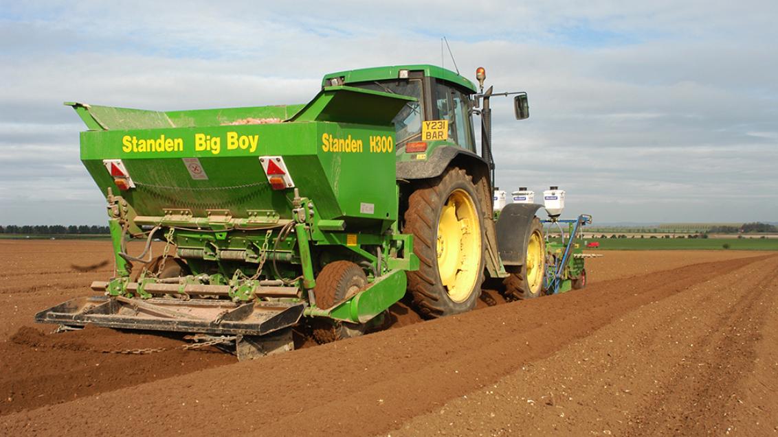 1024_x_576_soil_clean_up_for_planting.jpg