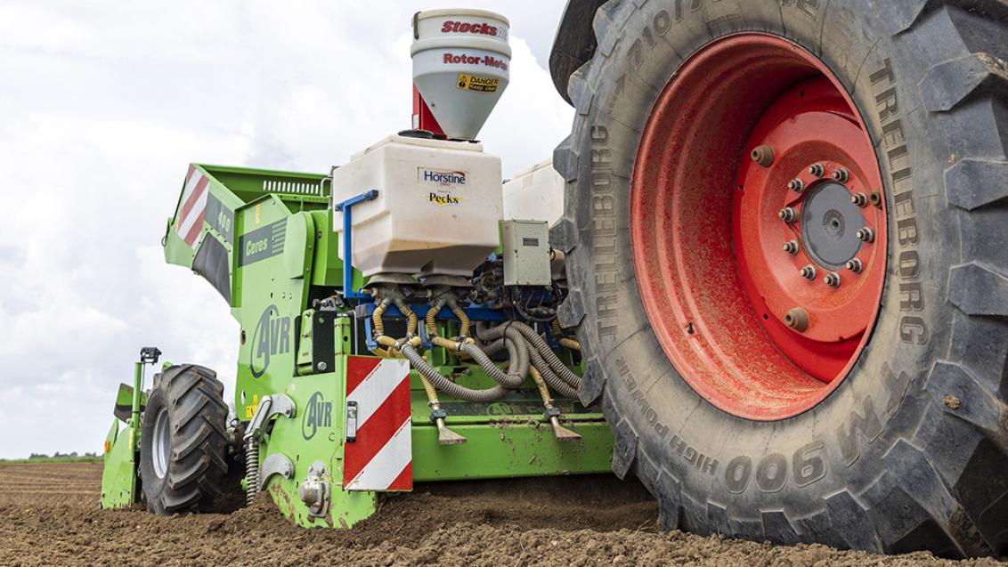 1024_x_576_soil_clean_up_for_planting_3.jpg