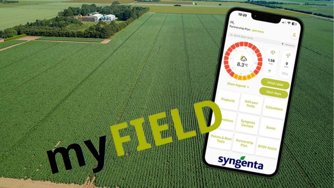 Potato crop with myField sceen
