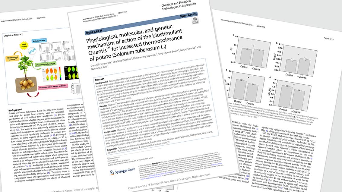 1024_x_576_notts_uni_quantis_paper.jpg