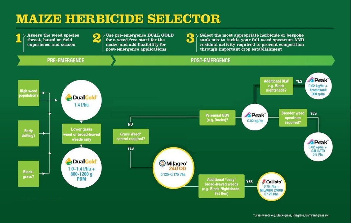 Maize Herbicide Selector