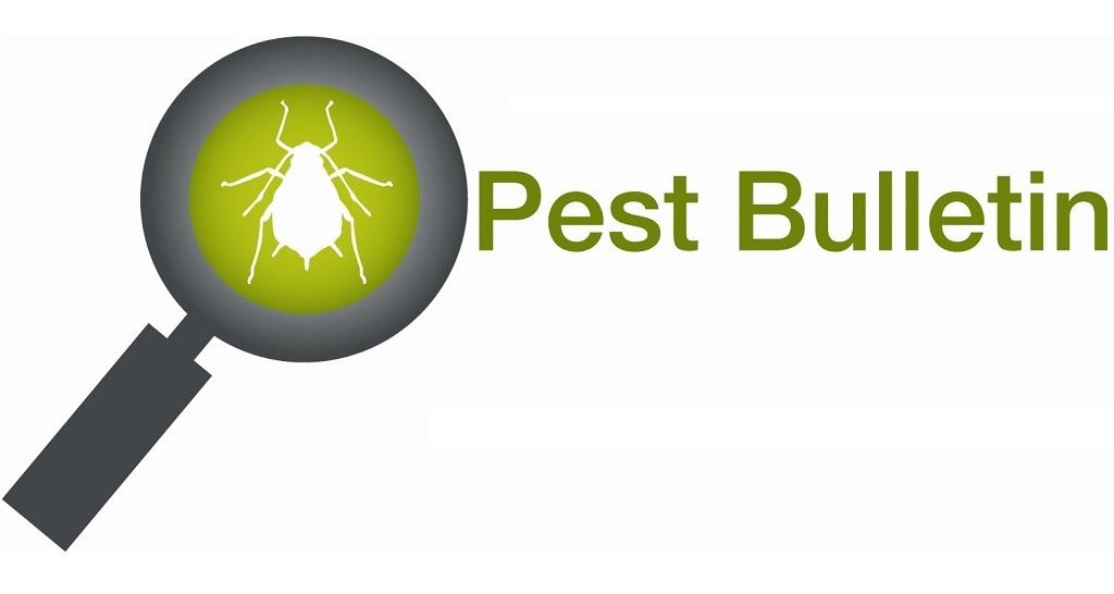 Pest Bulletin logo