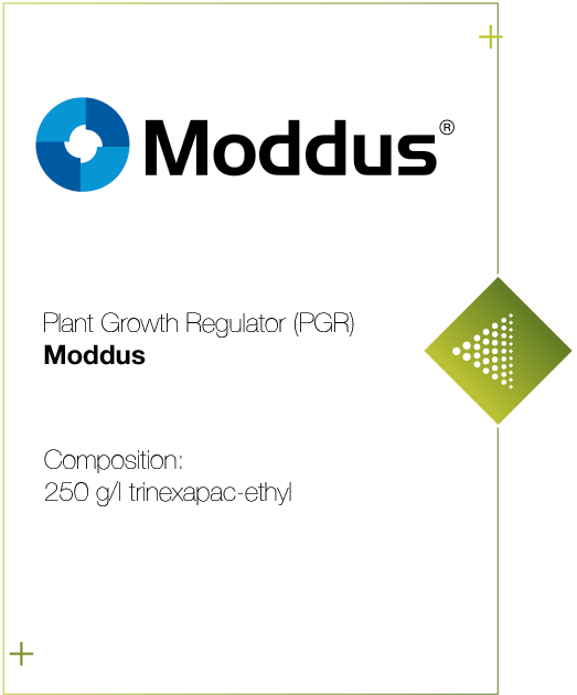 moddus_product_label_photo