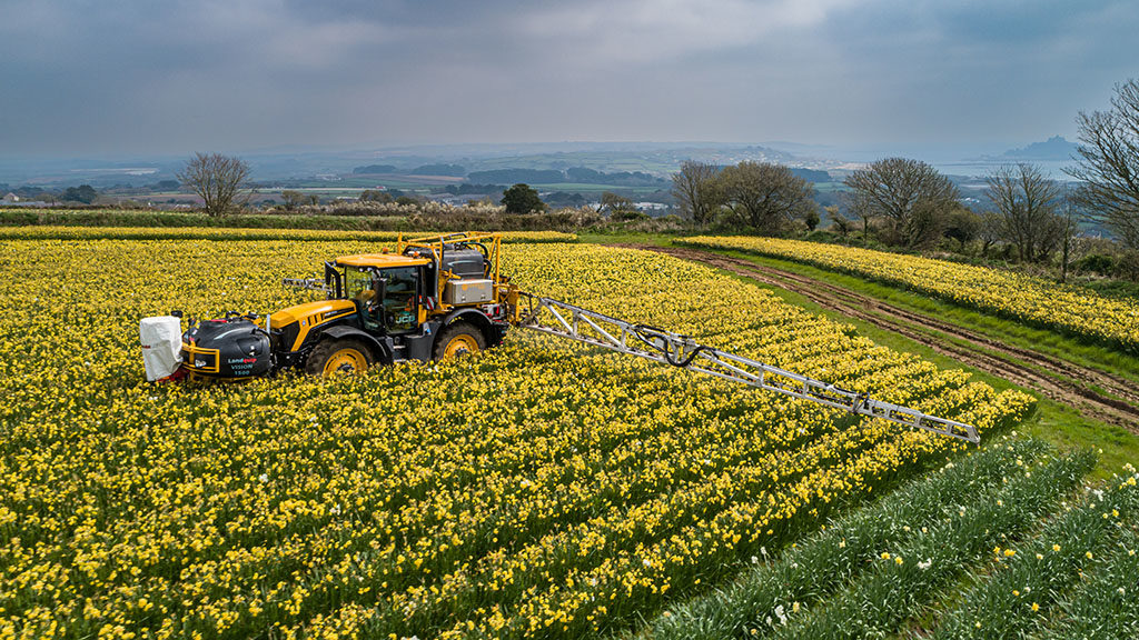 Chris Hosking spraying daffodils at Varfell Farms