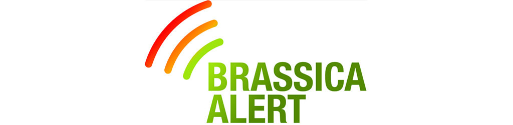 Brassica Alert logo