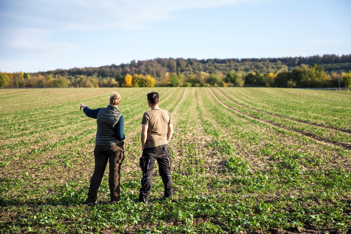 two men in a field
