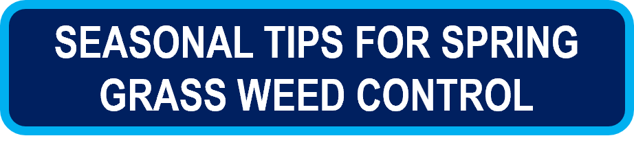 seasonal_tips_for_spring_grass_weed_control.png