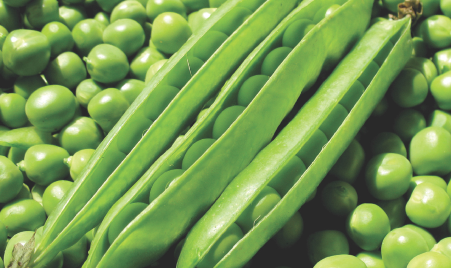 peas.png