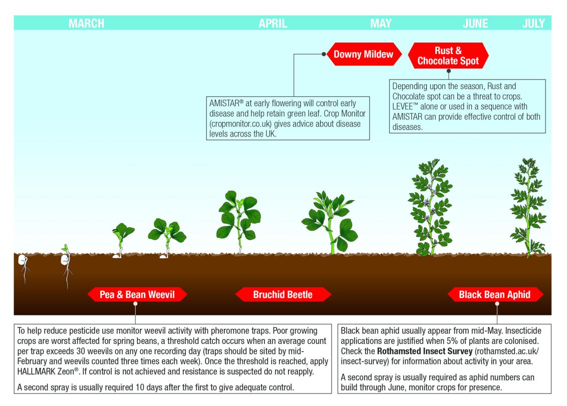 Soybean Growth Stages Timeline 1920x677