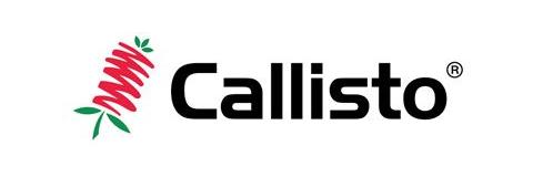 Callisto
