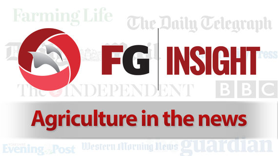 FGInsight logo