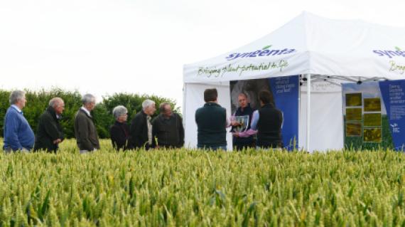 Demo days