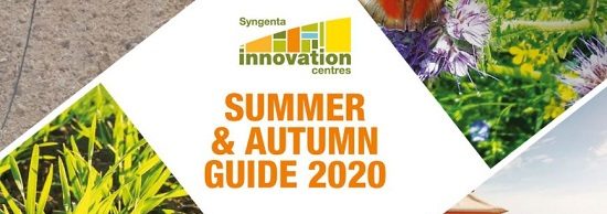 Summer and Autumn Guide 2020