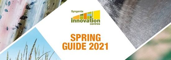 Spring Guide 2021