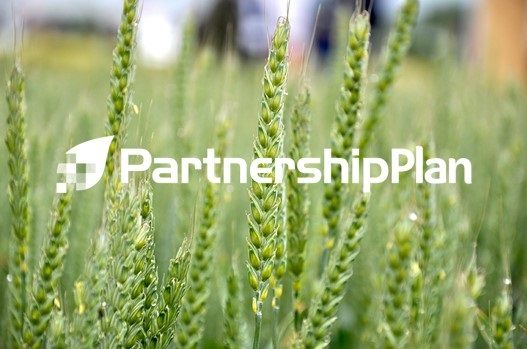 Partnership Plan Winter Wheat Offer