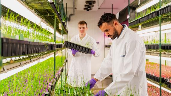 Two scientists growing plants in a storage room under grow lights.