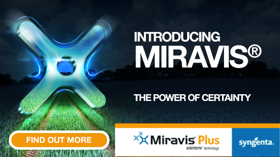 Miravis Plus