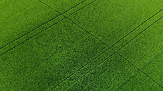 cereal-confidence-teaser-button-herbicide-app