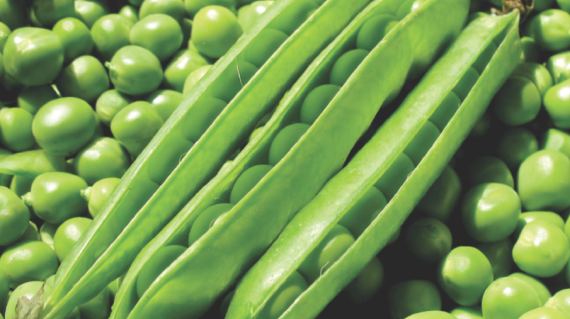 peas.png