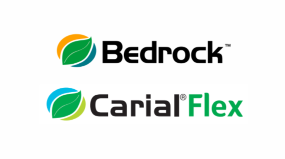 Bedrock/Carial Flex