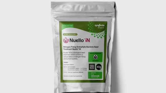 Nuello iN sachet