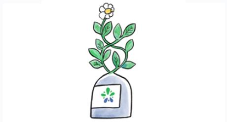 Quantis | Syngenta