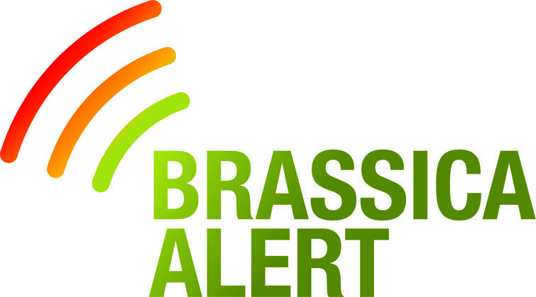 Brassica Alert